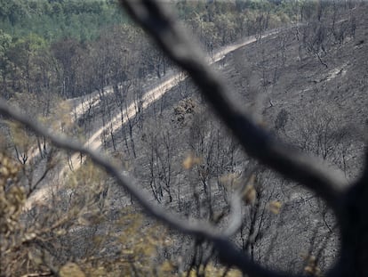 Detenido un hombre con antecedentes por provocar un incendio en León