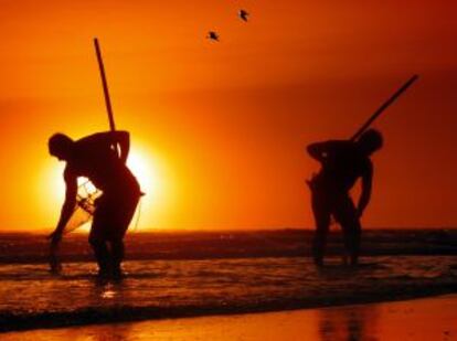 Dos pescadores buscando coquinas en una playa de la costa de Huelva.