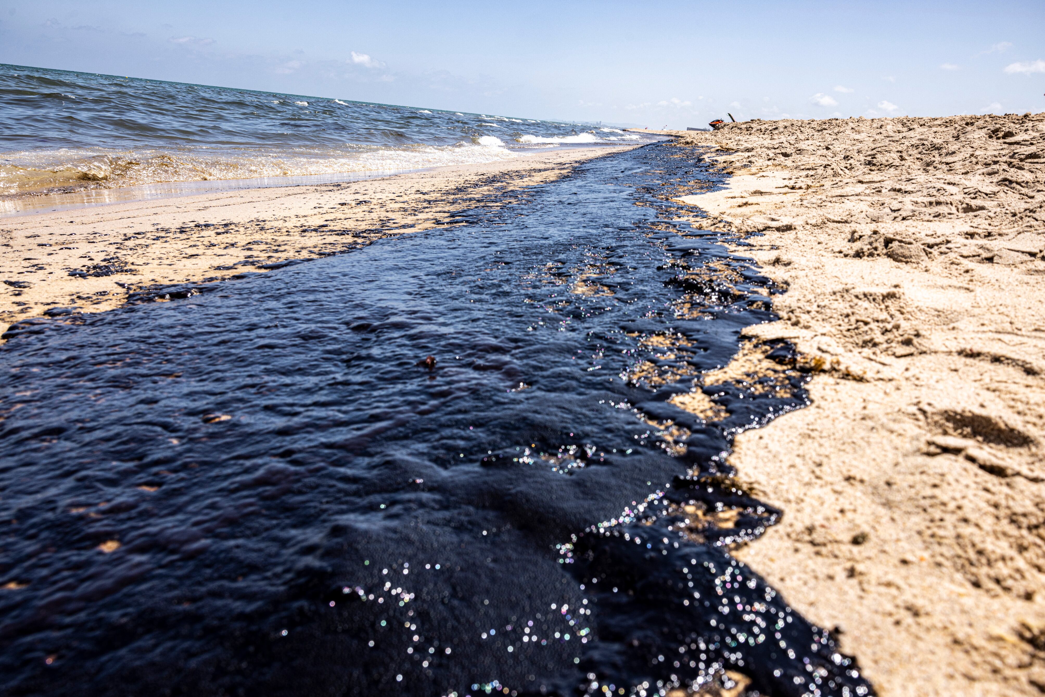 Un vertido obliga a cerrar las playas del parque natural de la Devesa-Albufera en Valencia 