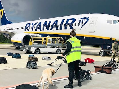 Agentes de segurança usam cão farejador para checar a bagagem dos passageiros do Boing 737 da Ryanair que transportava o oposicionista Roman Protasevich.