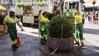 Operaris de Madrid col·loquen jardineres al carrer de Montera.
