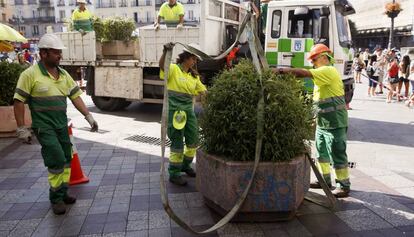 Operaris de Madrid col·loquen jardineres al carrer de Montera.