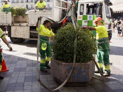 Operaris de Madrid col·loquen jardineres al carrer de Montera.