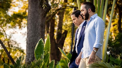 El presidente de El Salvador, Nayib Bukele, y el secretario de Estado de Estados Unidos, Marco Rubio, pasean en la residencia del primero.