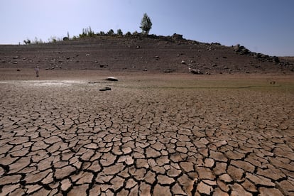 Una parte completamente secadel embalse de Ricobayo.