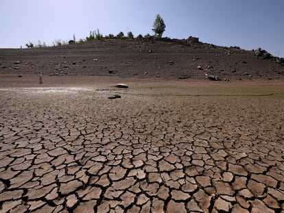 Una parte completamente seca del embalse de Ricobayo (Zamora), la semana pasada.