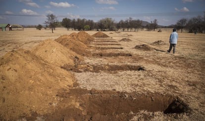 Un trabajador pasa frente a las tumbas recién excavadas en el cementerio de Honingnestkrans, al norte de Pretoria, Sudáfrica, el jueves 9 de julio de 2020. Los Centros para el Control y la Prevención de Enfermedades de África dicen que la pandemia de coronavirus en el continente está llegando a su pico.