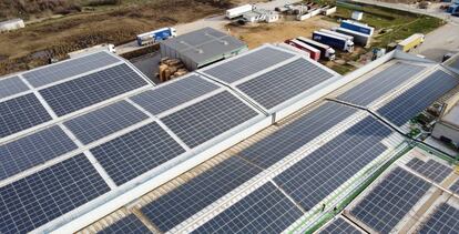 Paneles solares instalados en el tejado de la fábrica de Losán en Soria, que ocupan unos 25.000 metros cuadrados de los casi 30.000 que mide la cubierta en total. 