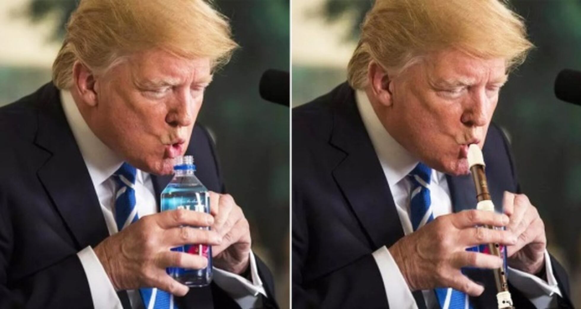 Trumpado Assim funciona ‘Know Your Meme’, a enciclopédia dos memes na internet ...