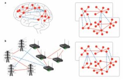 Esquema de les connexions internes d'una xarxa (vermell) i les connexions entre xarxes (blava) al cervell i en una xarxa elèctrica.