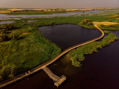 Las pasarelas a vista de dron de la Isla del Pan con la zona del río Guadiana al fondo.