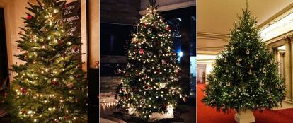 De izquierda a derecha: los árboles de Navidad de las actrices Amanda Seyfried y Ariel Winter así como la decoración escogida para el árbol del palacio de Buckinham, con coronas incluidas.