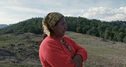 Un cuadro del documental 'La mujer de estrellas y montañas' (dir. Esteinou, 2024), sobre Rita Patiño, la mujer rarámuri, que fue encerrada en un hospital psiquiátrico de EE UU por no poderse comunicar.