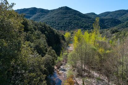 La vctima se ha golpeado la cabeza contra unas rocas que haba en el torrente de la Muga Albany (Alt Empord, Girona). Getty