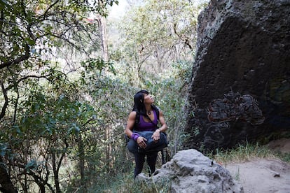 Bosque Los Remedios