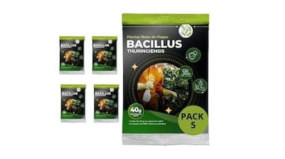 oruga procesionaria​ productos