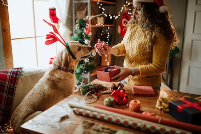 Regalo mascotas Navidad