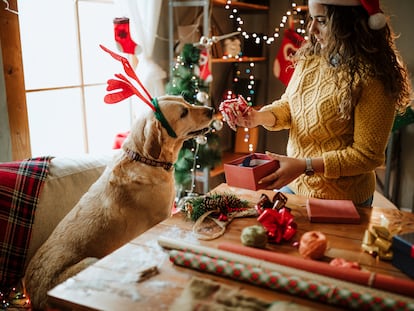 Una joven da un regalo a su perro por Navidad.