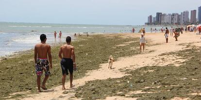 Praia de Piedade, no Recife.
