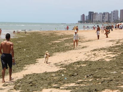 Praia de Piedade, no Recife.