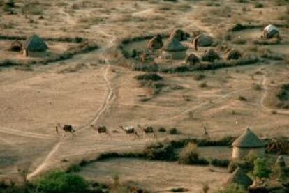 Caravana de camellos en una aldea cercana a Belet Weyne, en el desierto de Somalia.