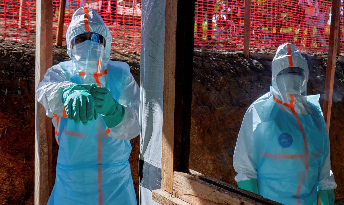 Pandemics that weren’t: How to nip an outbreak in the bud