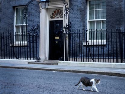 El número 10 de Downing Street, con el gato 'Larry' de la residencia del primer ministro en primer término.