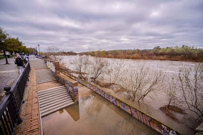 Crecida del río Alberche a su paso por Talavera de la Reina, este miércoles.