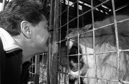 A pesar de que trataba a los leones como gatitos, estos animales le demostraron muchas veces que no lo eran. Tuvo numerosos accidentes laborales a lo largo de su carrera, algunos graves, pero siempre salió adelante. En noviembre de 1980 fue atacado por <i>Tarzán</i>, que le pegó varias dentelladas. En 1982 fue atacado varias veces. En 1984, mientras actuaba en Valencia, resultó herido en la espalda y en diciembre de 1988, en Barcelona, volvió a ser agredido por un león. En 1990 sufrió en Lleida el peor <i>susto</i>. Tres leones y un tigre se le abalanzaron y le produjeron heridas en el cuello, tronco y extremidades y la fractura de seis costillas. Estos mismos animales le atacaron de nuevo meses después y de nuevo acabó en quirófano.