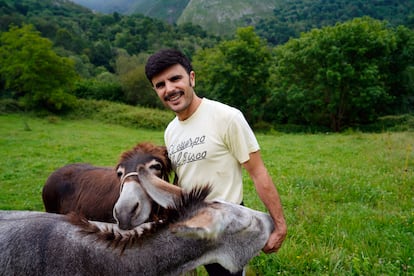 El artista Rodrigo Cuevas con sus burras 'Faraona' y 'Xuana' en Caperea (Asturias), este martes.