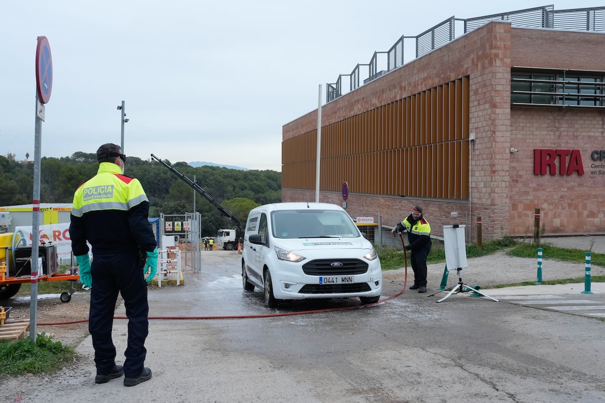 El laboratorio señalado por la presunta fuga de la peste porcina africana estaba en obras