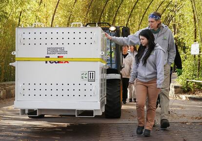 More pandas will be coming to the US, China’s president signals