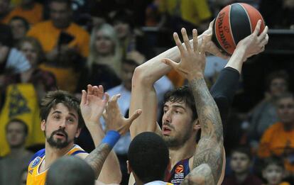 Tomic, con el balón, presionado por Shved.