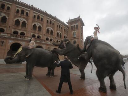 Los elefantes del Gran Circo Mundial act&uacute;an durante su paseo en la explanada anexa a la plaza de Las Ventas.