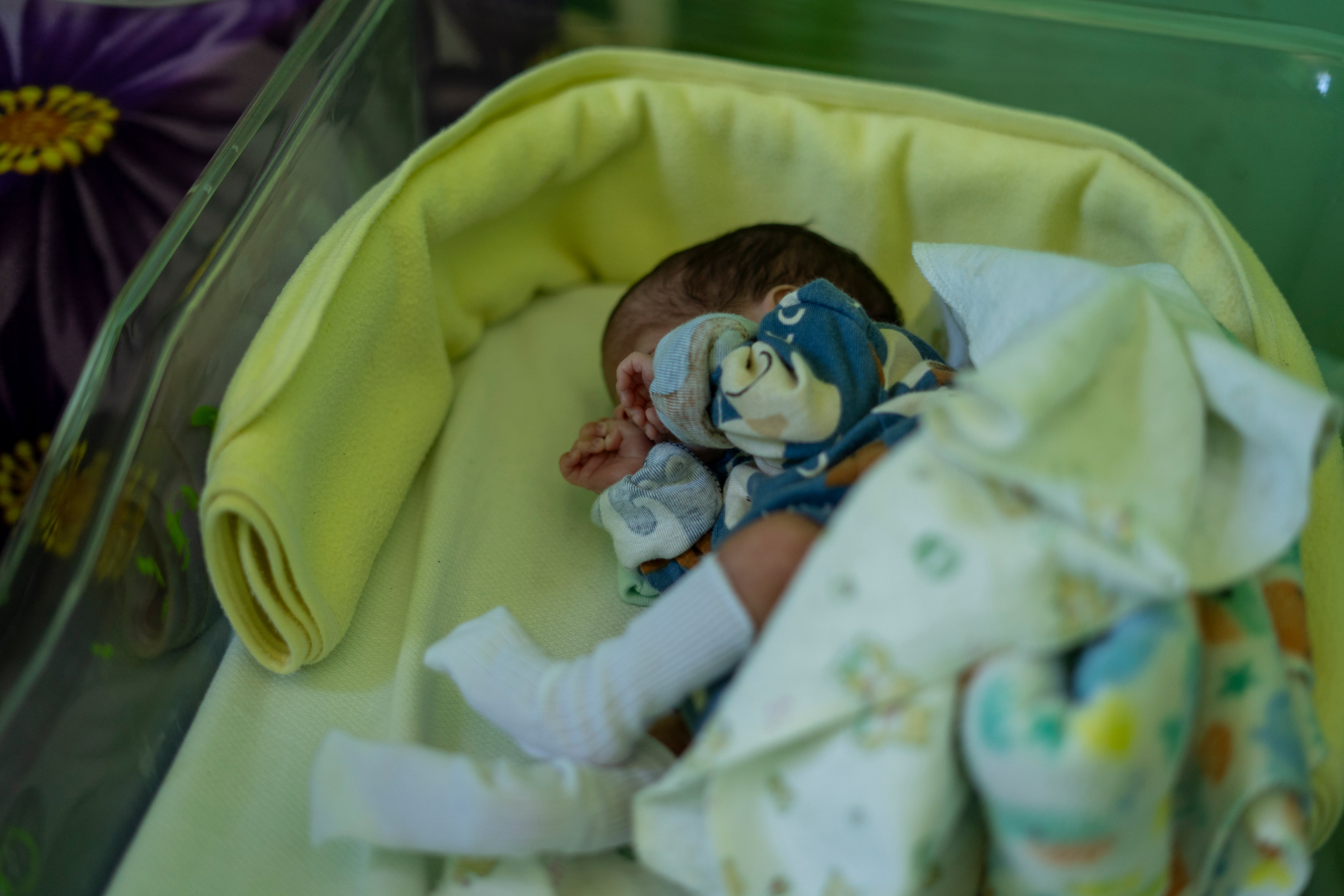 Un bebé de bajo peso internado hospital Maternidad Obrera.