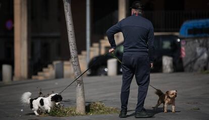 Un home passejant dos gossos en ple confinament.