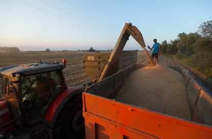 Ukraine Farmers