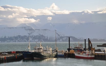 Puerto de Húsavik en la bella bahía de Skjálfandi.