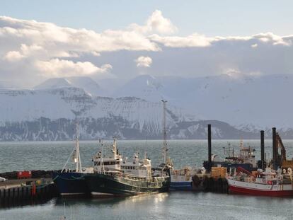 Puerto de Húsavik en la bella bahía de Skjálfandi.