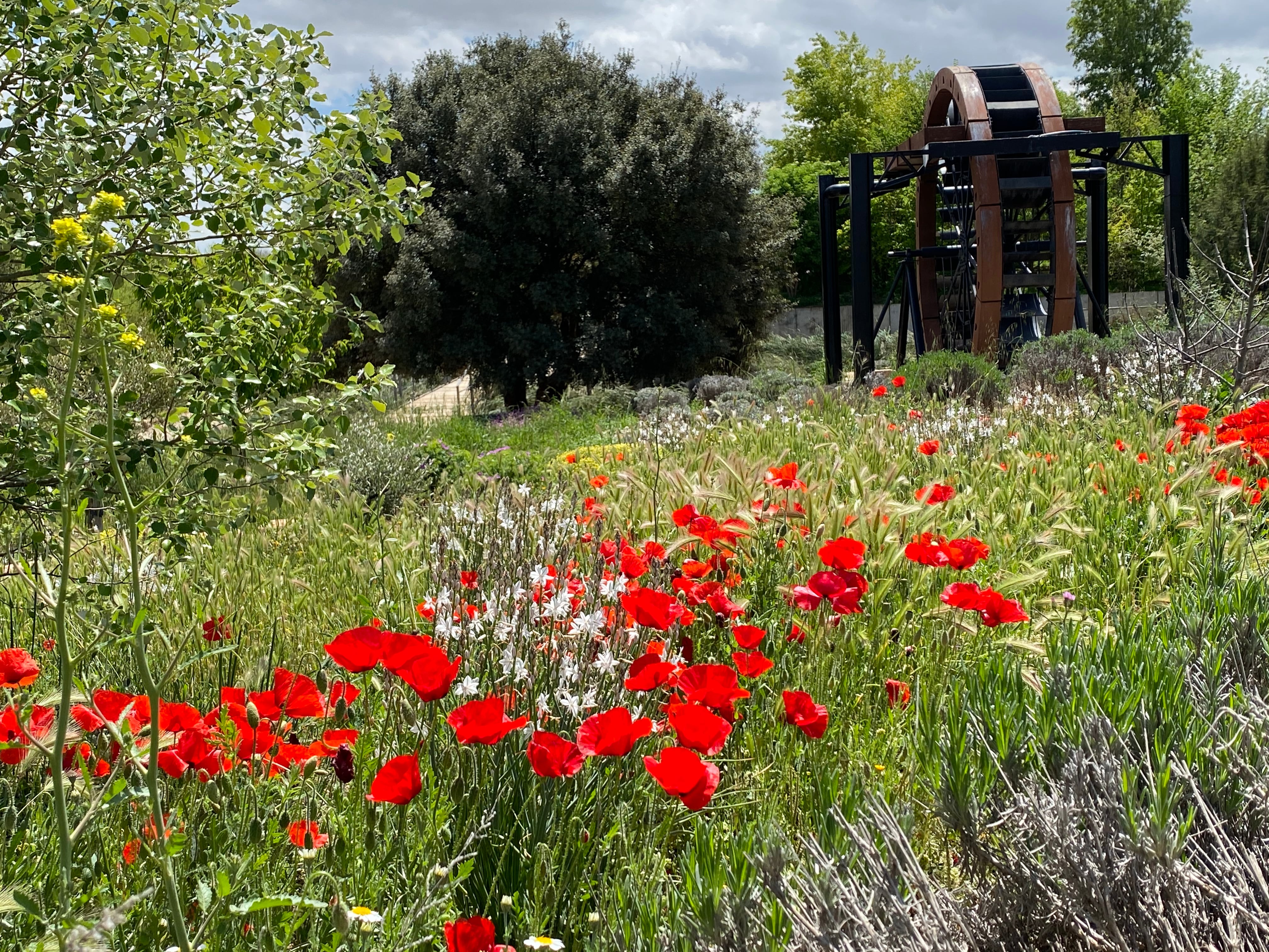 Parques urbanos sin químicos que combaten las plagas con insectos y murciélagos
