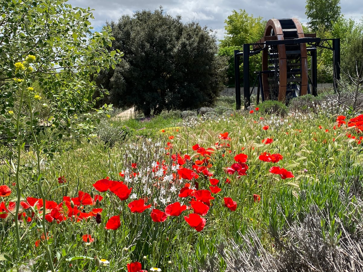 Parques urbanos con certificado ecológico como los alimentos | Clima y Medio Ambiente