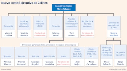 Cellnex Organigrama Bueno Gráfico