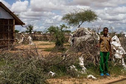 Un niño posa frente a la valla que separa su vivienda de la carretera, en el campo de refugiados IFO1, el primero en ser ocupado por somalíes que huían de la guerra civil de su país en el año 1991. Las viviendas son circulares, están hechas de ramas y lonas y su interior es muy humilde, pues generalmente no cuentan con nada más que una cama y una mosquitera.