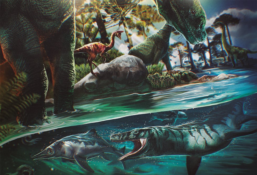 What can fossils teach us about biodiversity? | Science | EL PAÍS English