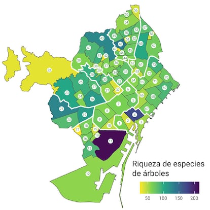 diversidad arboles barcelona