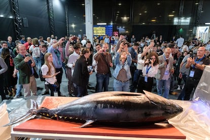 Muestra de atún rojo en el certamen Mediterránea Gastrónoma, el 15 de noviembre de 2022 en Valencia. 