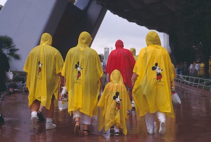 Por todas partes, ves familias muy ilusionadas, vestidas con la misma ropa y la misma sonrisa, felices de estar allí.
