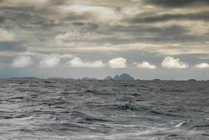 Los predios del tiburón boreal en 'El libro del mar'.