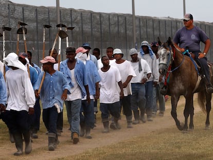 In this Aug. 18, 2011 photo, a prison guard rides a horse alongside prisoners as they return from farm work detail at the Louisiana State Penitentiary in Angola, La.