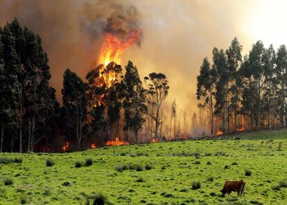 Vista del incendio en las proximidades de Naves (Llanes). 